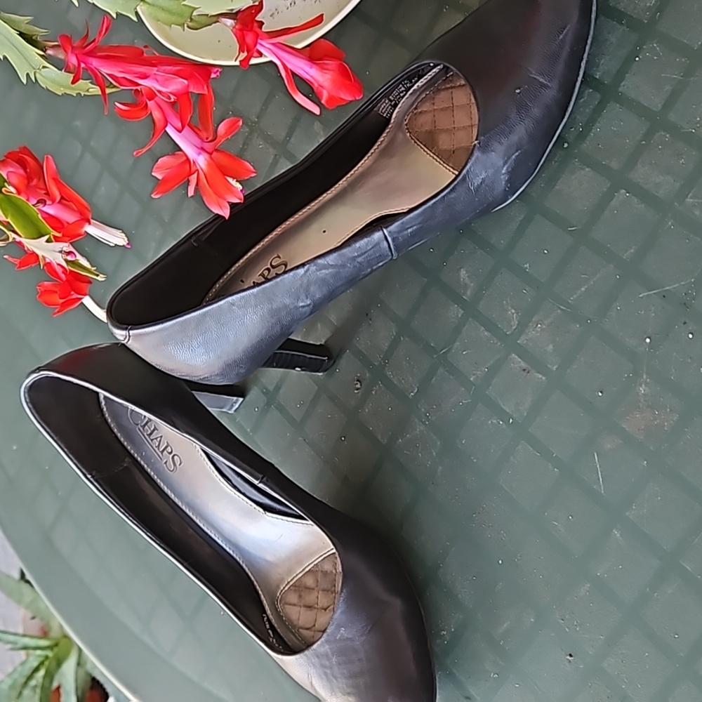 Pumps - Picture 7 of 8